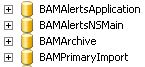 Maintaining BizTalk BAM databases