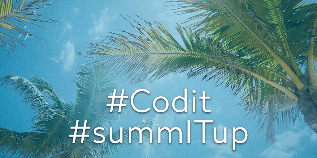 SummITup | Codit Summer Blog 2019